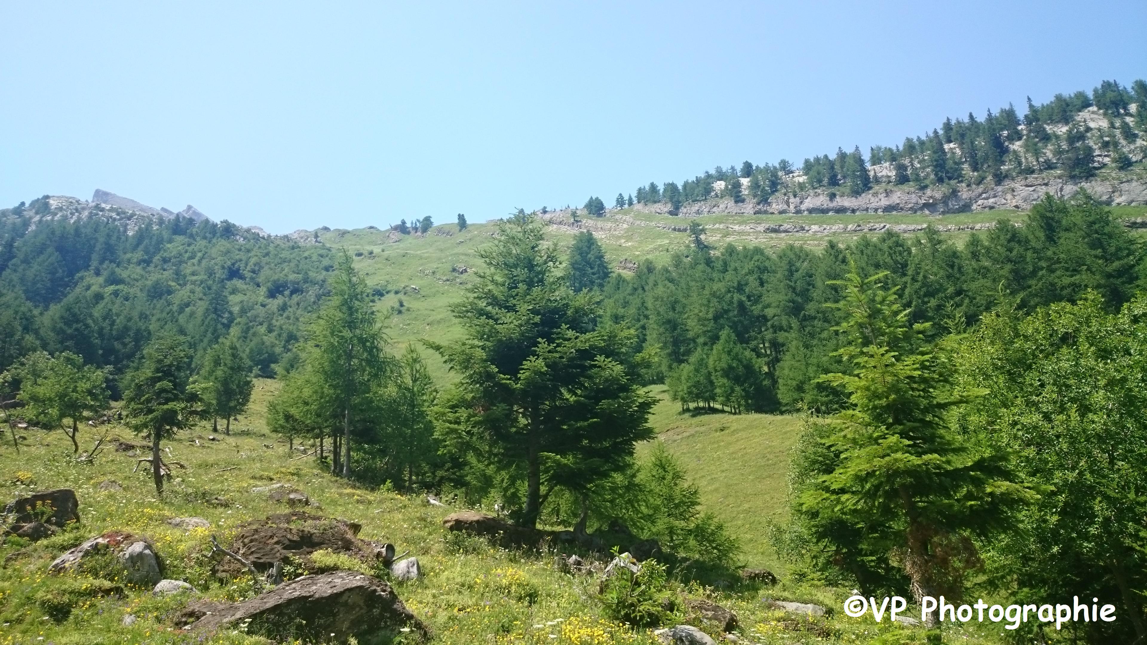 Photo prise depuis Derborence